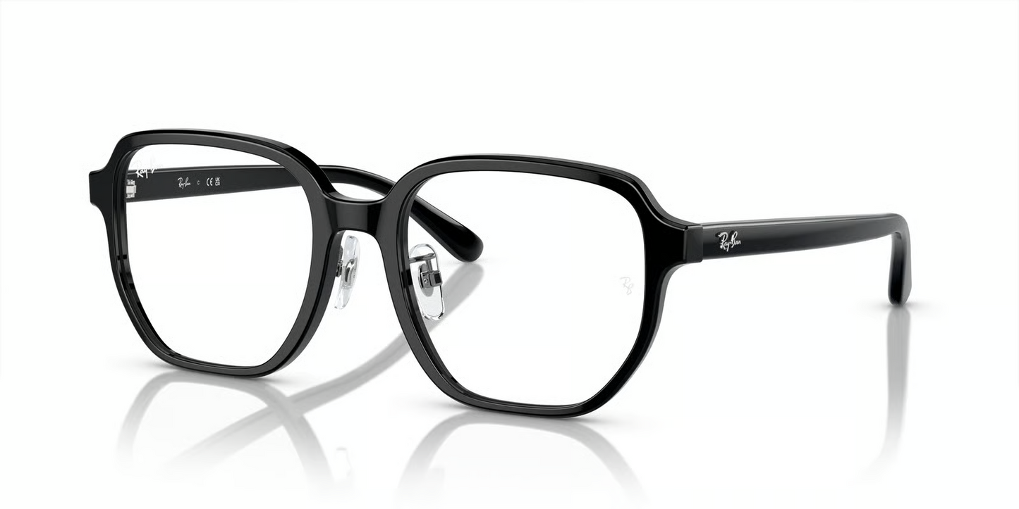 Ray-Ban Optical RX5424D Eyeglasses