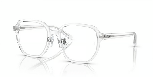 Ray-Ban Optical RX5424D Eyeglasses
