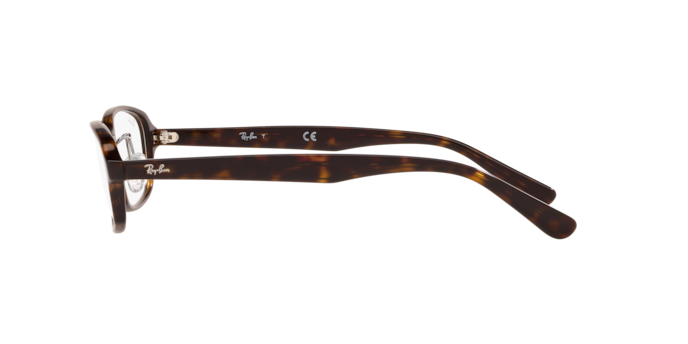 Ray-Ban Optical RX5385D Eyeglasses