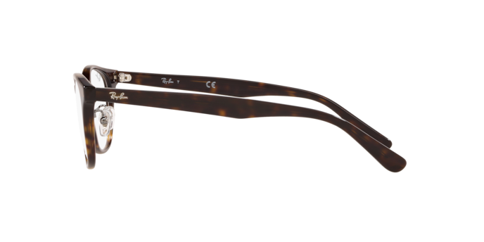 Ray-Ban Optical RX5386D Eyeglasses