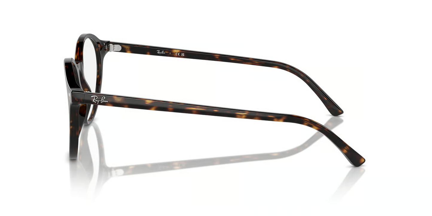 Ray-Ban Optical RX5430 Bernard Eyeglasses