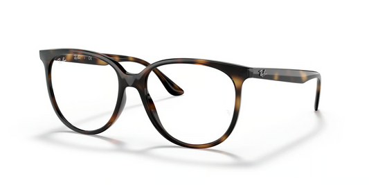 Ray-Ban Optical RX4378V Eyeglasses