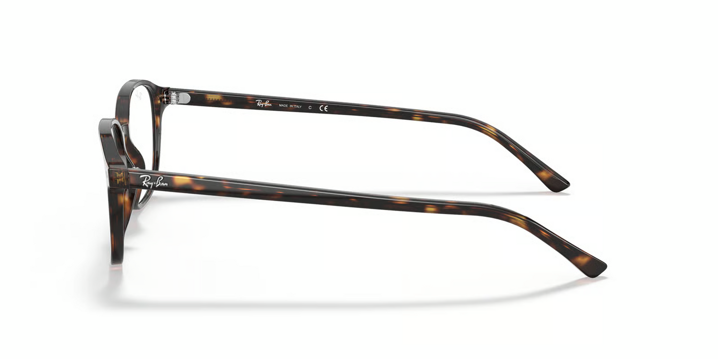 Ray-Ban Optical RX5393 Leonard Eyeglasses