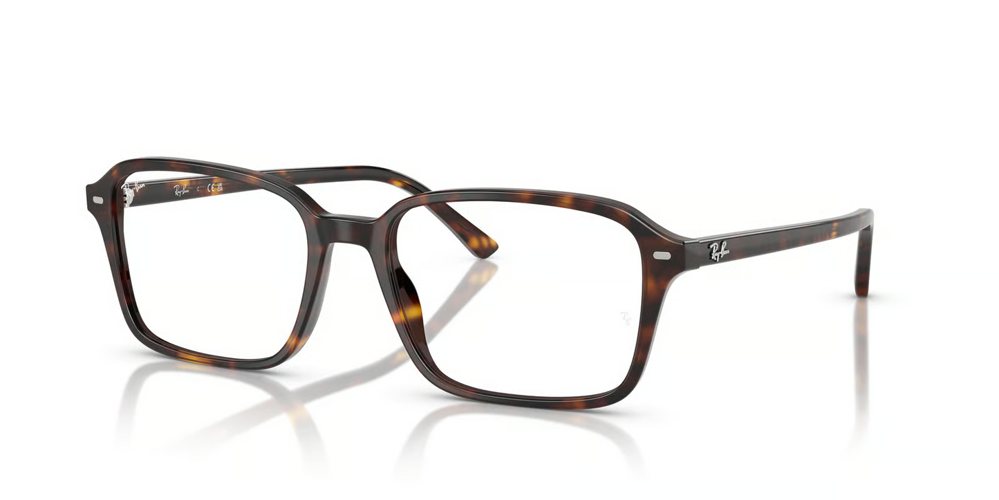 Ray-Ban Optical RX5431 Raimond Eyeglasses