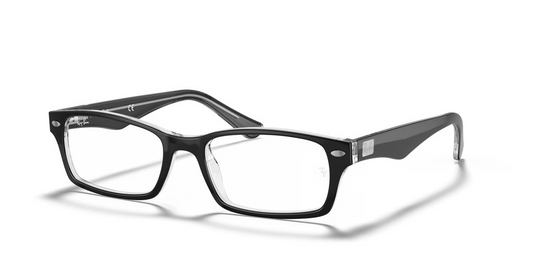 Ray-Ban Optical RX5206 Eyeglasses