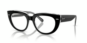 2034 - Black On Transparent with Clear Lenses