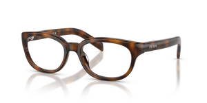 20D1O1 - Juniper Havana with Clear Lenses