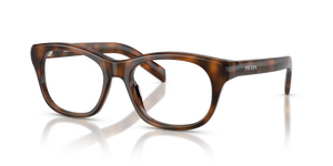 20D1O1 - Juniper Tortoise with Clear Lenses