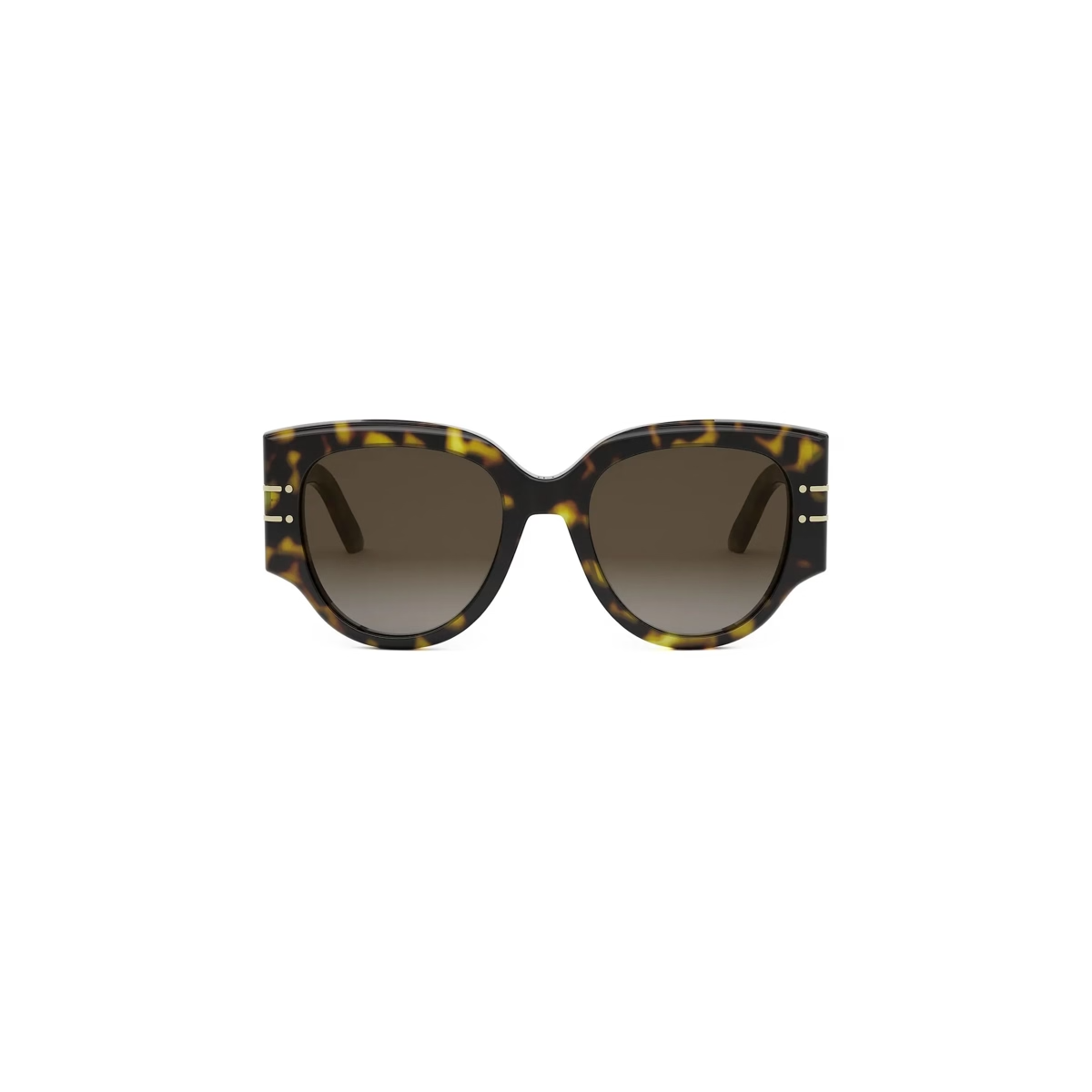 Dior DiorSignature R2I CD40187I Sunglasses