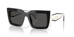 20G08Z - Black with Dark Grey Lenses