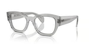 2102 - Transparent Grey with Clear Lenses