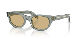 21J70R - Transparent Fog with Light Brown Lenses