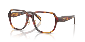 22A1O1 - Poppy Tortoise/bordeaux with Clear Lenses