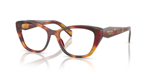 22A1O1 - Poppy Tortoise with Clear Lenses