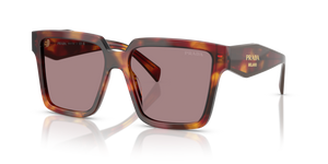 22A20I - Poppy Tortoise with Light Purple Brown Lenses