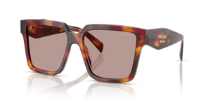 22A20I - Poppy Tortoise with Light Purple Brown Lenses