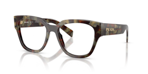 22F1O1 - Woods Tortoise with Clear Lenses