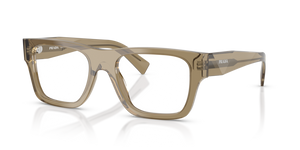 22H1O1 - Transparent Bark with Clear Lenses