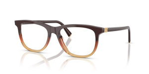 24C1O1 - Brown Gradient with Clear Lenses