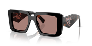 27B60B - Black with Light Brown Lenses