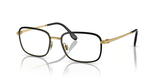 Ray-Ban Optical RX6495 Eyeglasses