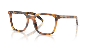 29C1O1 - Cinnamon Tortoise with Clear Lenses