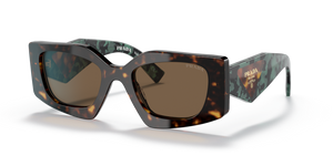 2AU06B - Tortoise with Dark Brown Lenses