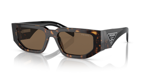 2AU06B - Tortoise with Dark Brown Lenses