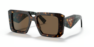2AU06B - Tortoise with Dark Brown Lenses