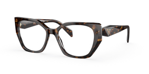 2AU1O1 - Tortoise with Clear Lenses
