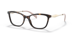 2AU1O1 - Tortoise with Clear Lenses