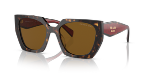 2AU5Y1 - Tortoise with Polarized Dark Brown Lenses