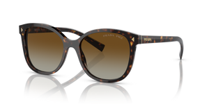 2AU6E1 - Tortoise with Polarized Brown Gradient Lenses