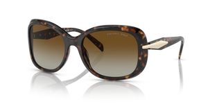 2AU6E1 - Tortoise with Polarized Brown Gradient Lenses