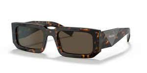 2AU8C1 - Tortoise with Dark Brown Lenses