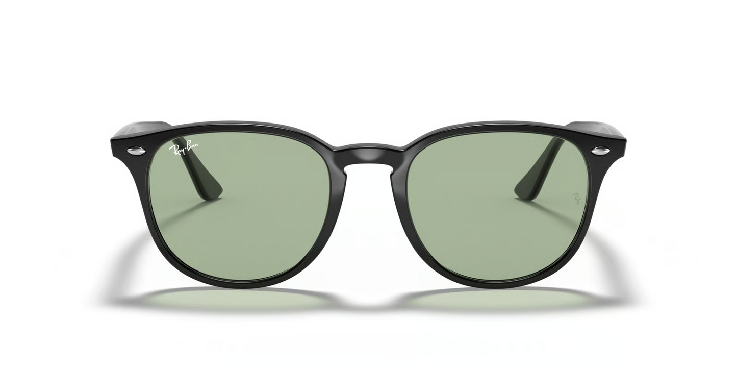 Ray-Ban RB4259F Sunglasses