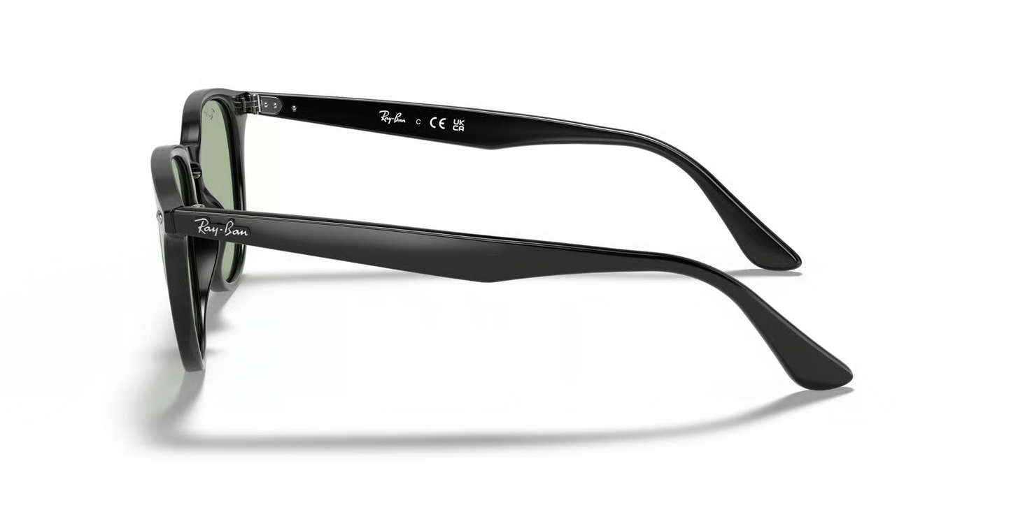 Ray-Ban RB4259F Sunglasses