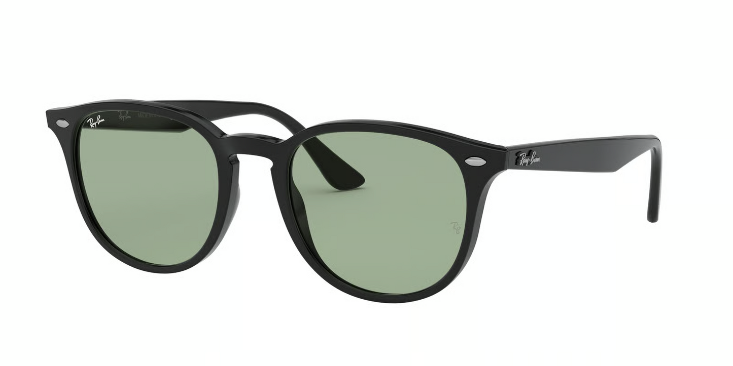 Ray-Ban RB4259F Sunglasses