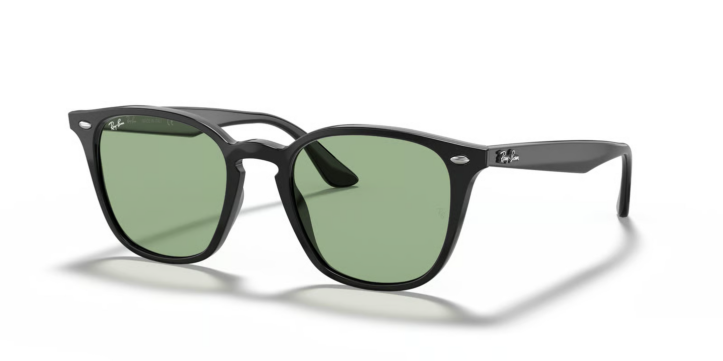 Ray-Ban RB4258F Sunglasses