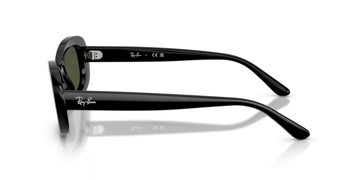 Ray-Ban RB2221F Sunglasses