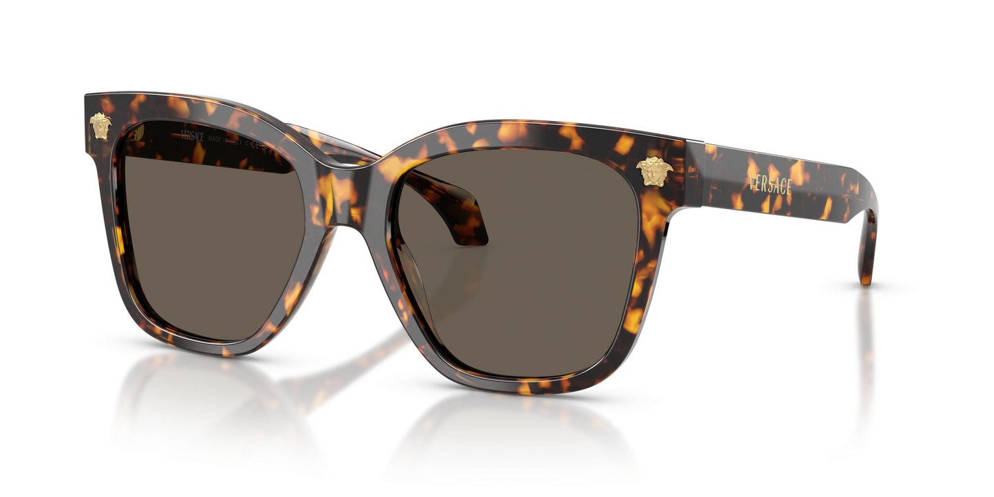 Versace VE4511 Sunglasses