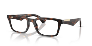 3002 - Dark Havana with Clear Lenses