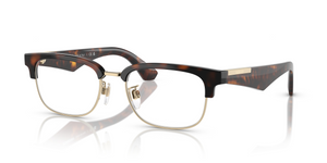 3002 - Dark Havana with Clear Lenses