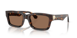 300273 - Dark Havana with Dark Brown Lenses