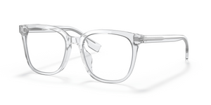 3024 - Transparent with Clear Lenses