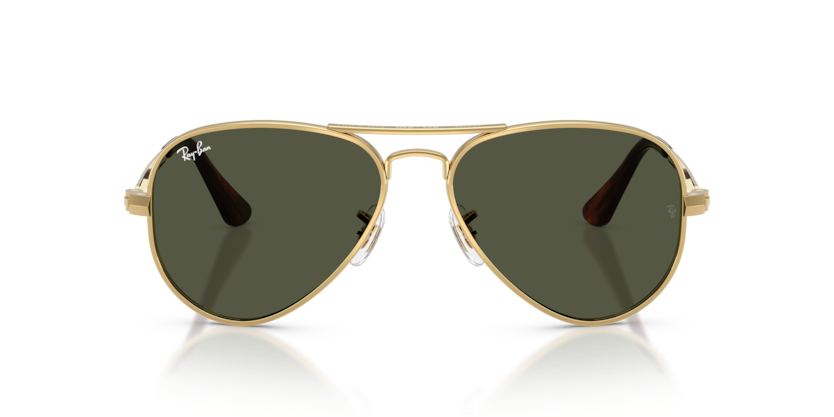 Ray-Ban RB3925 Aviator Max Sunglasses