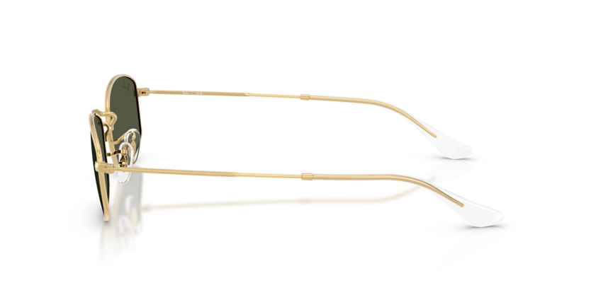 Ray-Ban RB3832 Sunglasses