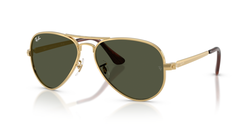 Ray-Ban RB3925 Aviator Max Sunglasses