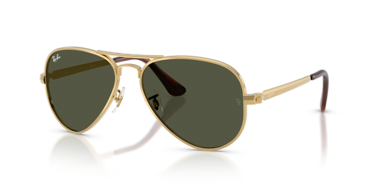 Ray-Ban RB3925 Aviator Max Sunglasses