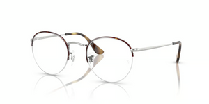 3178 - Havana On Silver with Clear Lenses